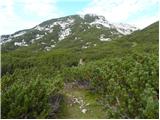 Planina Ravne - Kocbekov dom na Korošici